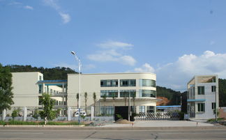 匠心獨運，木藝生輝 探訪高要市白土鎮(zhèn)潤和工藝品加工廠與鼎龍木業(yè)